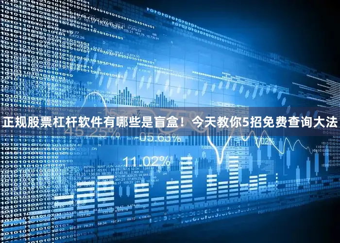 正规股票杠杆软件有哪些是盲盒！今天教你5招免费查询大法